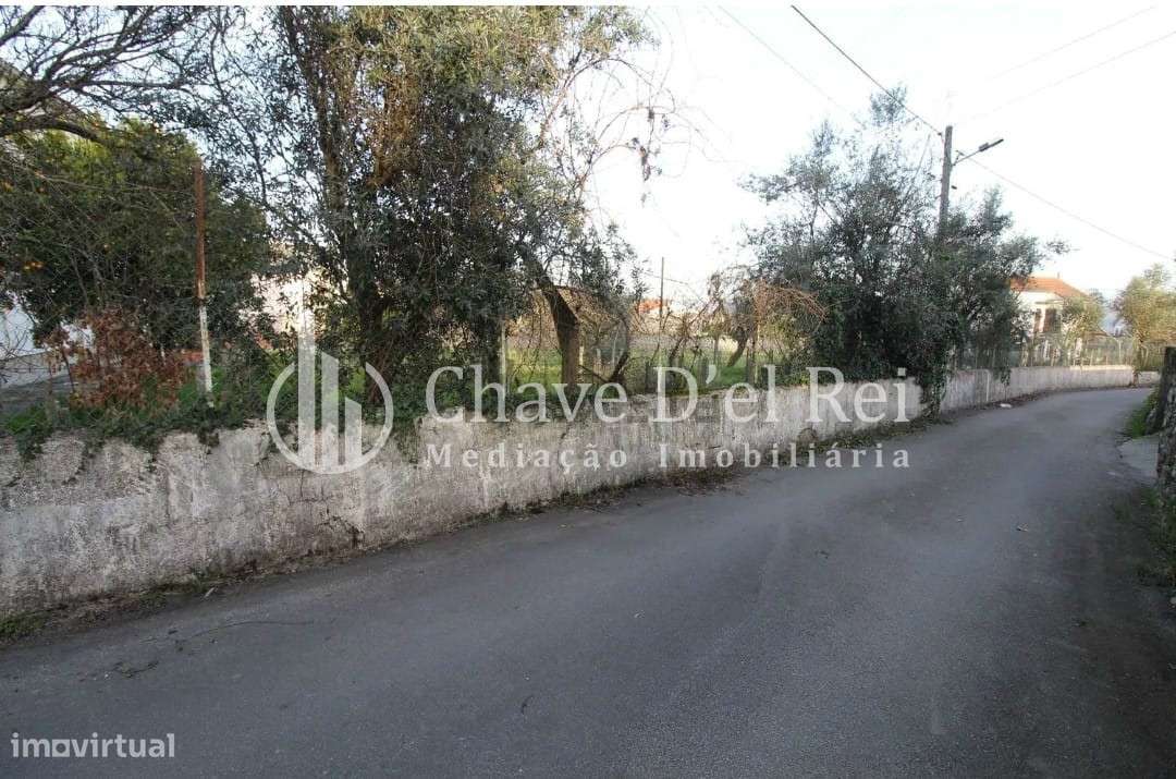 Terreno Rústico  Venda em Rio de Loba,Viseu - Grande imagem: 5/5