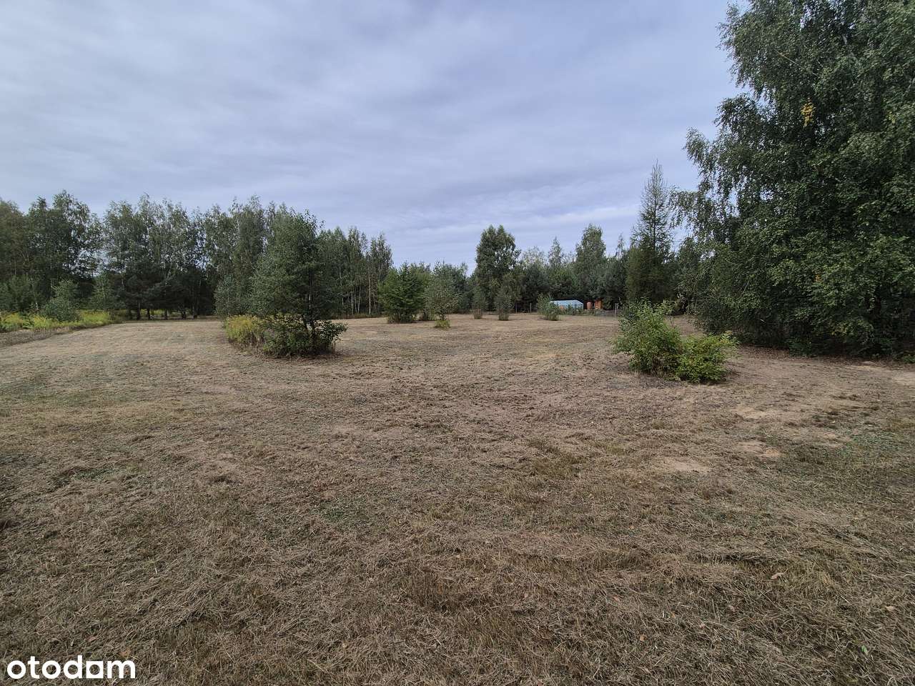 Eksluzywna lokalizacja!!! 3000 m2 przy Kampinowskim Parku Narodowym - Pełny obrazek: 4/9