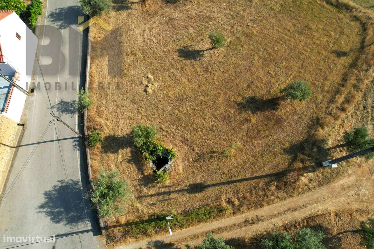Quintinha  Venda em Sarzedas,Castelo Branco-18