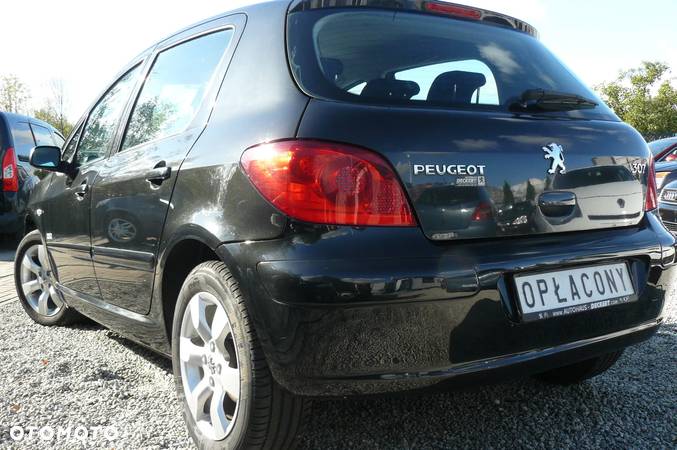 Peugeot 307 1.6 Oxygo - 5