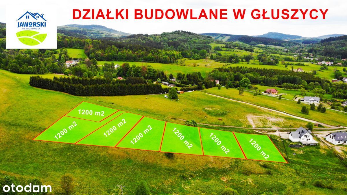 Działki budowlane w Głuszycy - widokowe