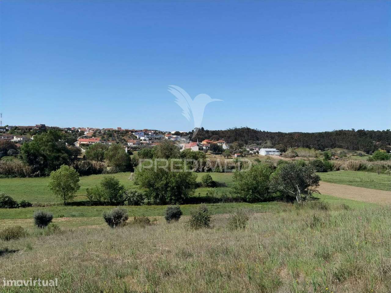 Terreno rústico, Arneiro das Milhariças - Grande imagem: 3/20