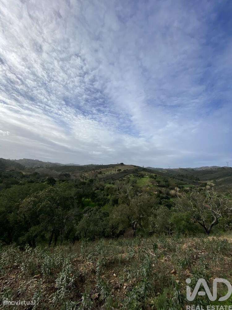 Terreno Agrícola em São Brás de Alportel - Grande imagem: 4/14