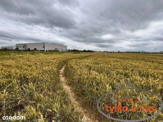 Działka usługowo/produkcyjno/magazynowa Plewiska-4