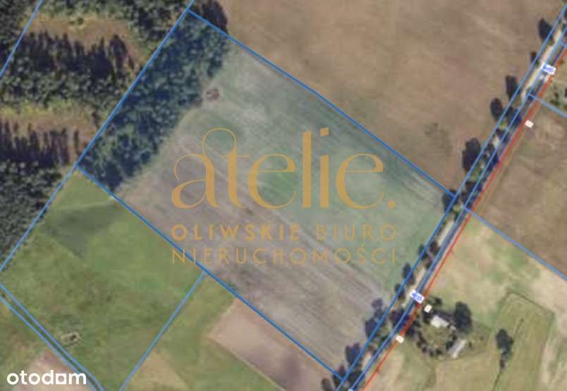 12 hektarów możliwości – Twoja oaza w sercu Kujaw! - Pełny obrazek: 5/6