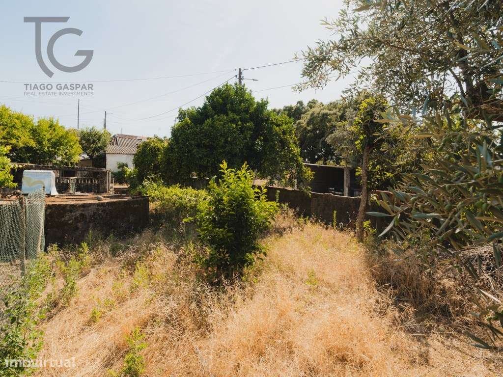 Moradia para recuperar - lote de 808 m² - Casa Branca, Abrantes-20