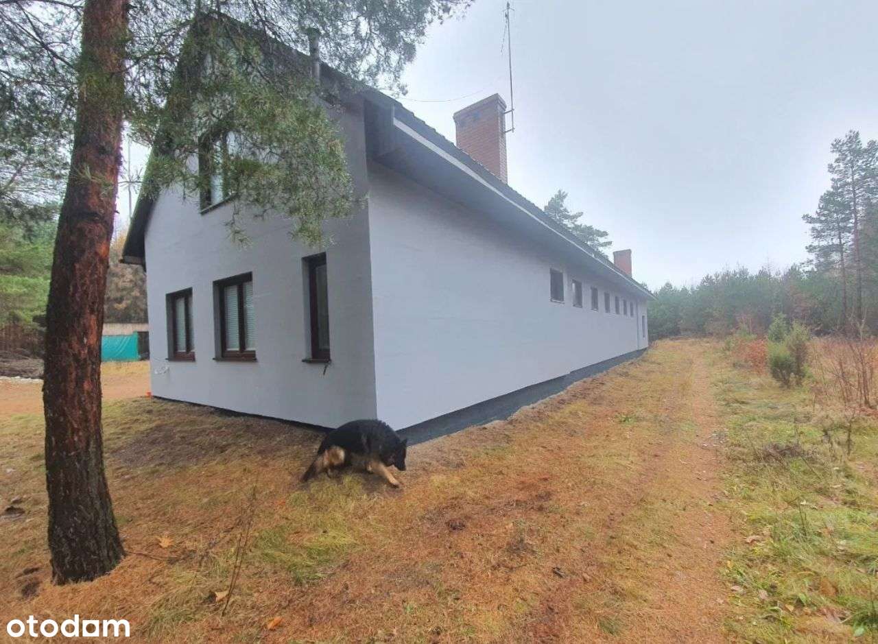 Do wynajęci hale-produkcyjno-magazynowe-biuro+plac - Pełny obrazek: 2/15