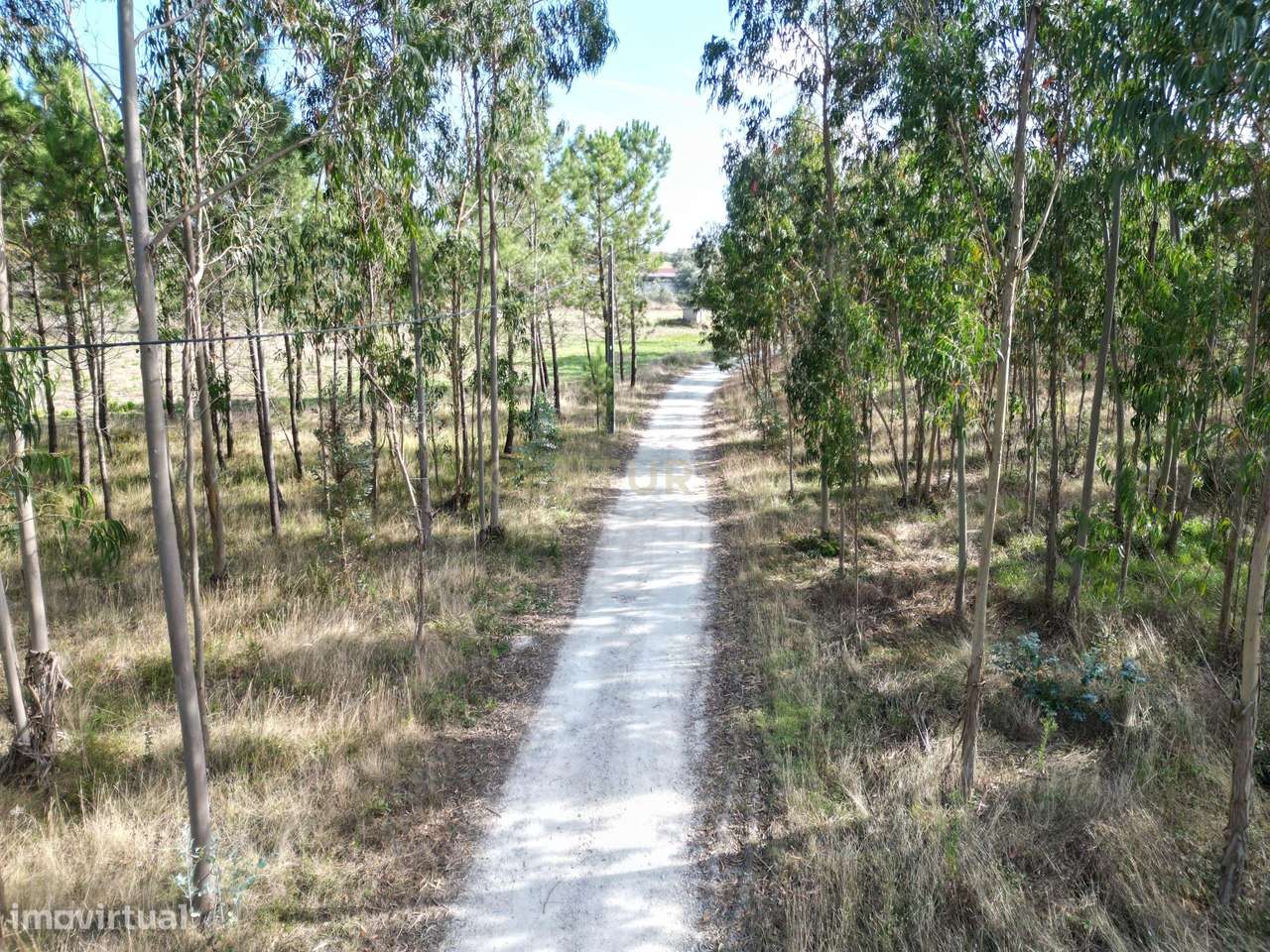 Terreno de 9.275 m² à Venda - Oportunidade de Investimento em Zona Ver - Grande imagem: 5/9