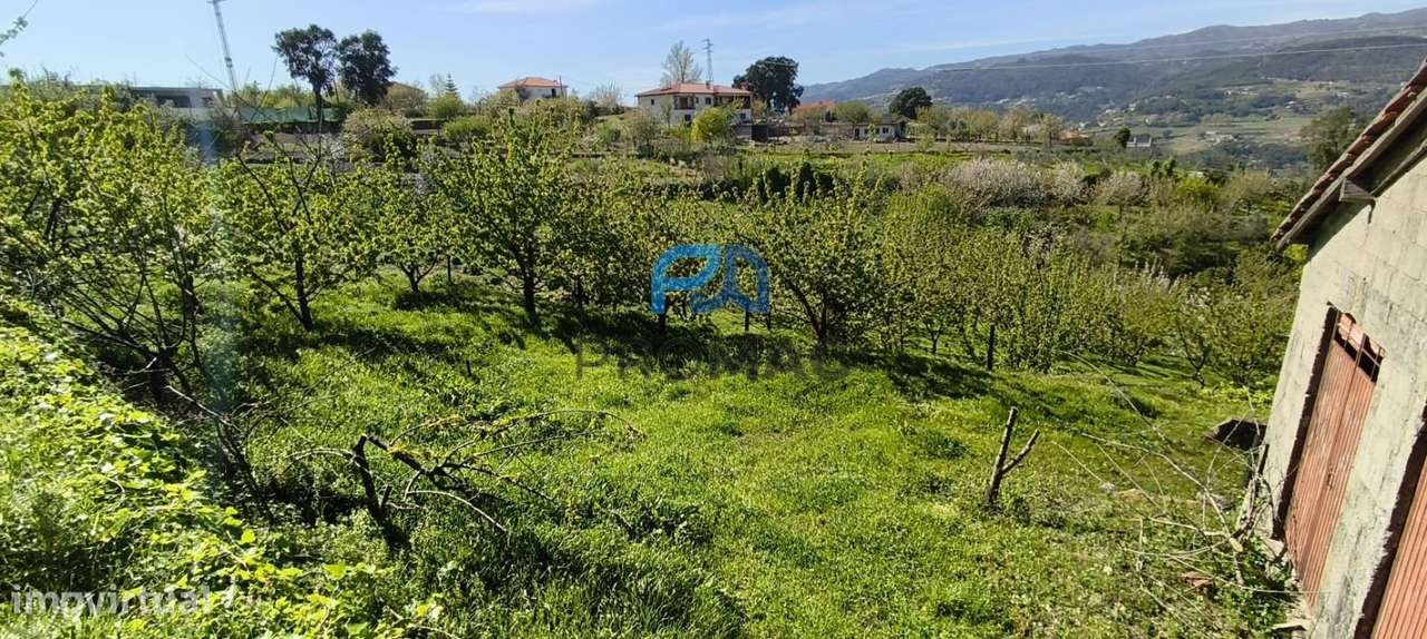 Quinta do Valado- Excelente Investimento em Resende-48