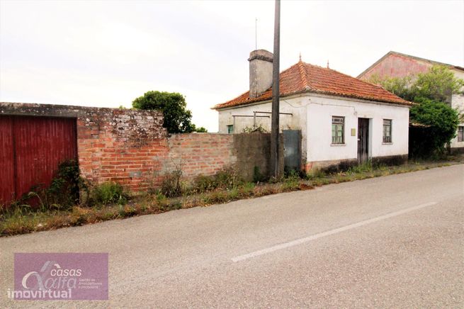 Moradia para reconstruir e terreno Localizado em Ervedeira Coimbrão-6