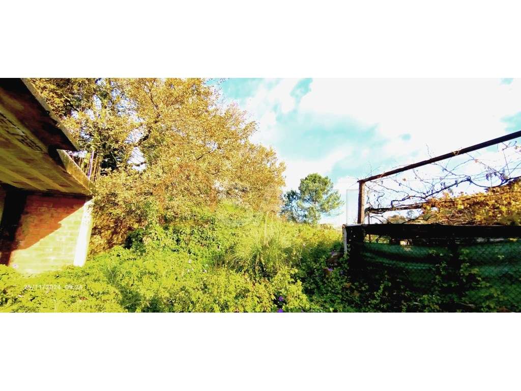 Terreno Amplo, Excelente Oportunidade! - Grande imagem: 3/15