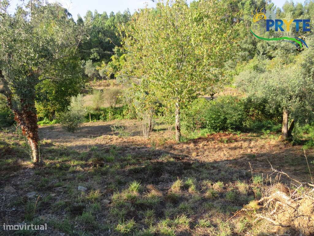 Quintinha composta por prédio urbano(arrecadação) e dois rústicos - Grande imagem: 4/15