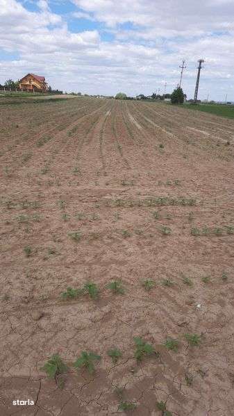 OPORTUNITATE! Teren intravilan in orasul Liteni - Imagine principală: 4/4