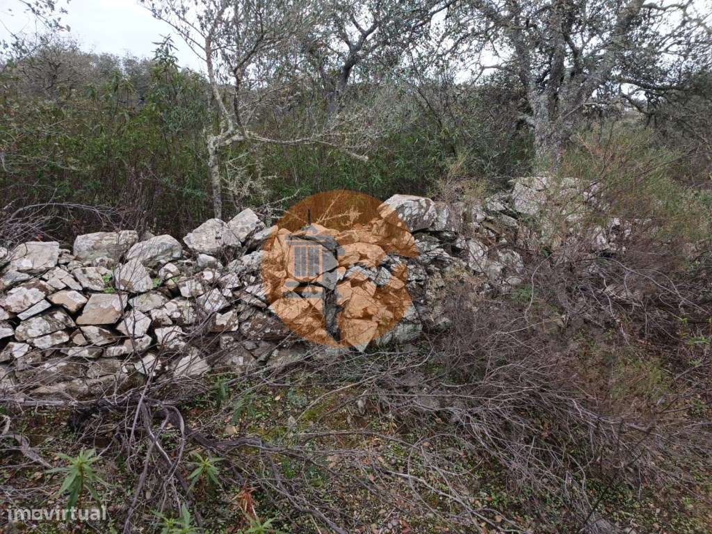 TERRENO COM 28.080 M2 - PLANO - COM POSSIBILIDADE DE CONSTRUIR ARMA... - Grande imagem: 3/31