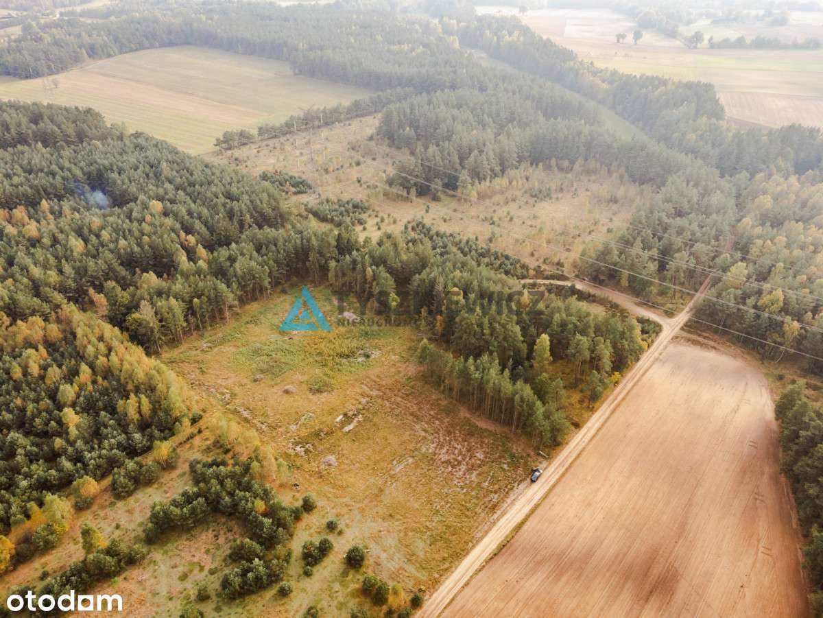 Działka Budowlana W Kowalewie Pod Lasem - Pełny obrazek: 5/9