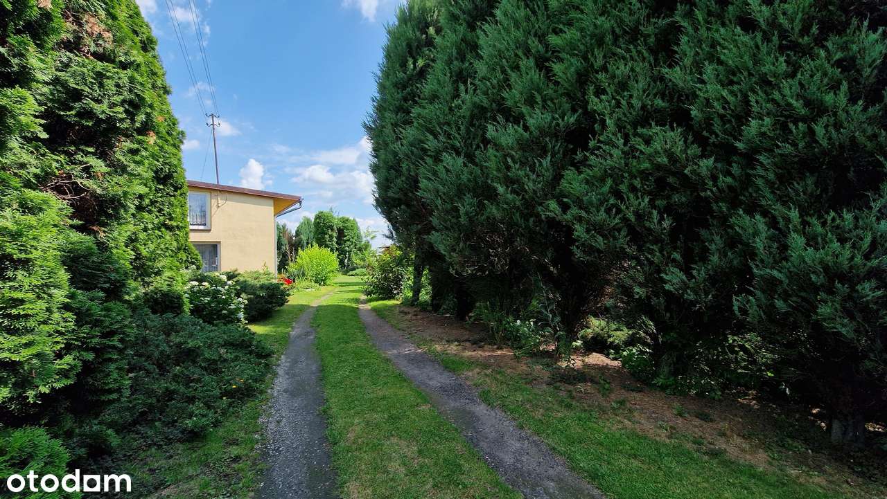 DOM JEDNORODZINNY Z DUŻĄ DZIAŁKĄ I STAWEM – MAŁYSZYN, GM. WIELUŃ-11