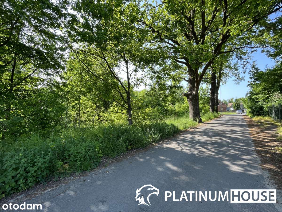 Działki budowlane z dogodnym asfaltowym dojazdem-4