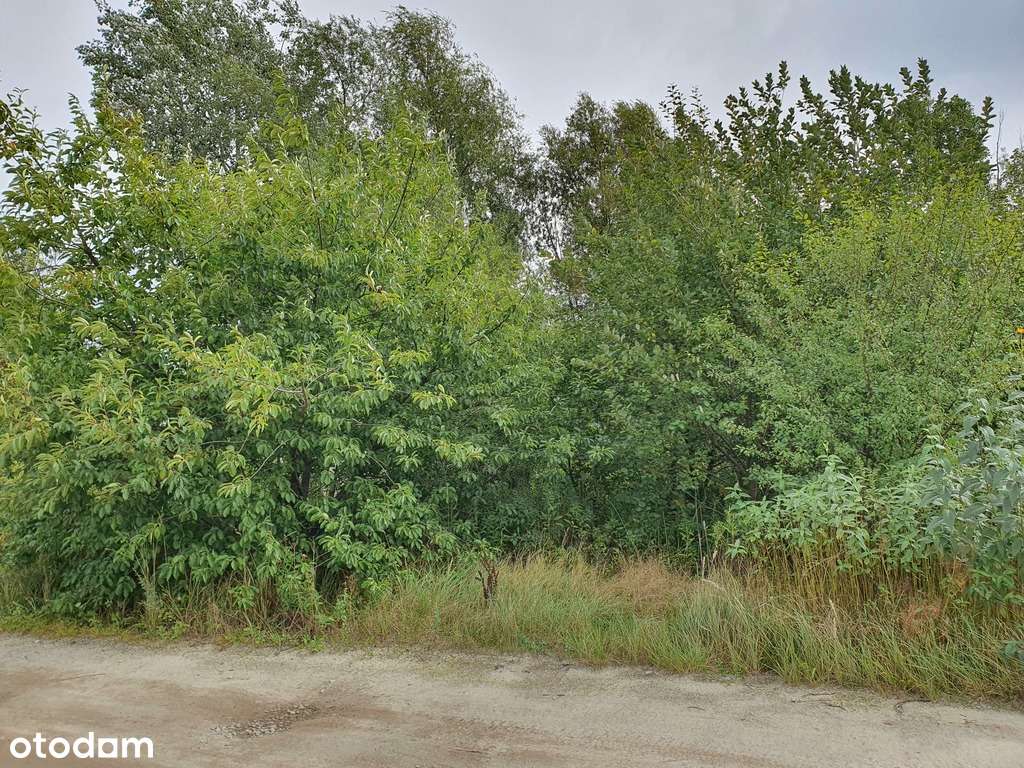 Działka budowlano-usługowa Wrocław Strachowice-9