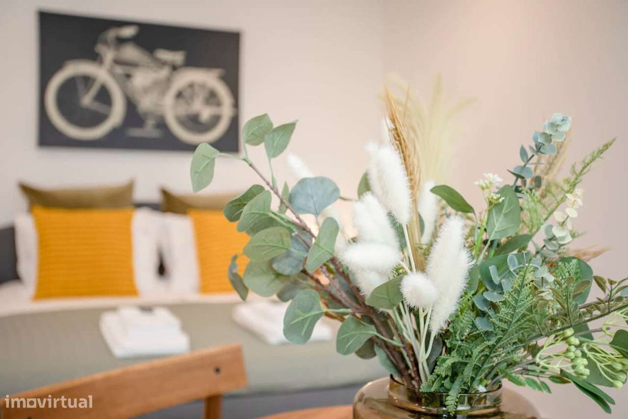 Apartamento Mobilado - Bolhão - Grande imagem: 4/12