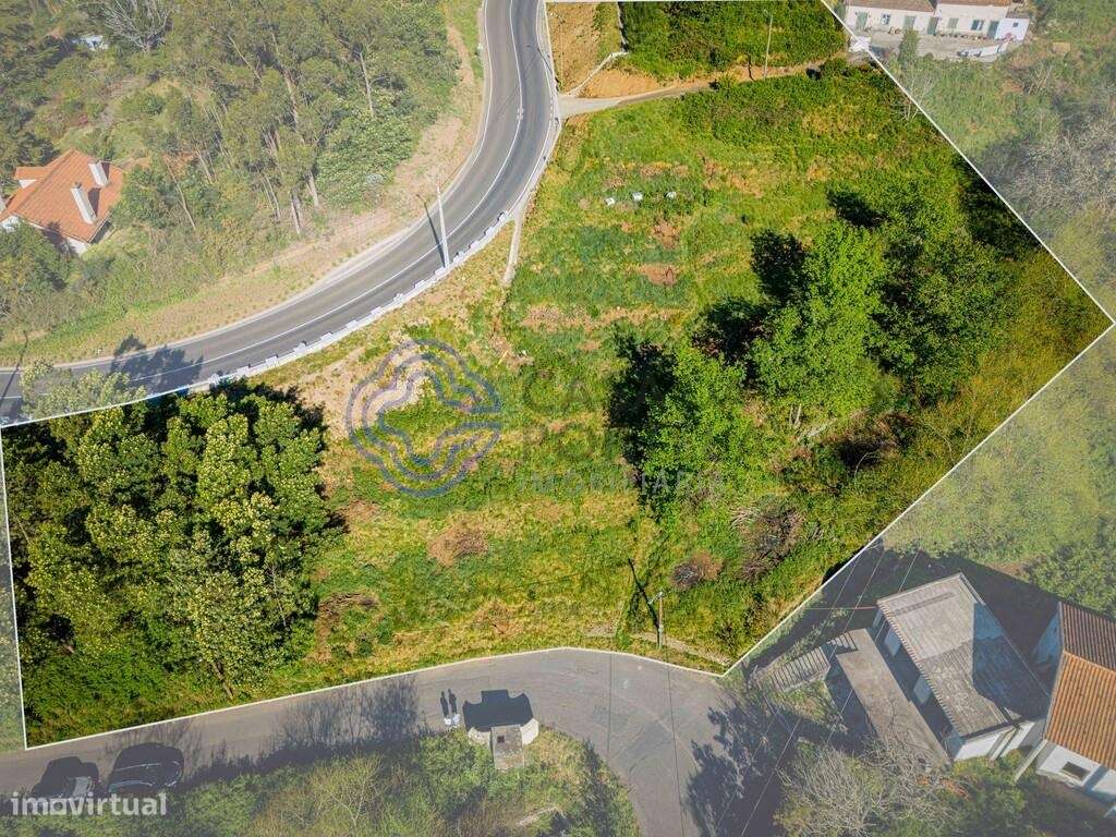 EXCLUSIVO! Terreno com 4.750m2 para construir e cultivar – Camacha - Grande imagem: 5/21