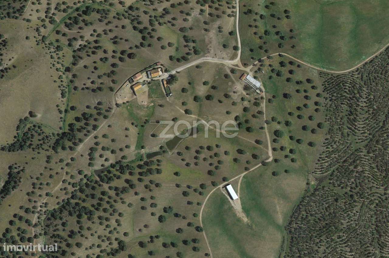 Herdade em Alentejo Beja Portugal - Grande imagem: 3/30