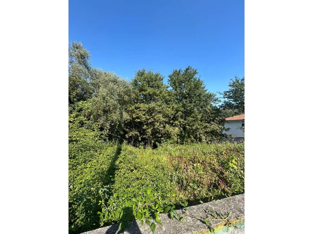 Oportunidade Rara em Canedo: Terreno por Apenas 44.500€ - Grande imagem: 2/2