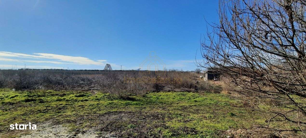 Vama Veche | Teren intravilan pentru investiții imobiliare!-6