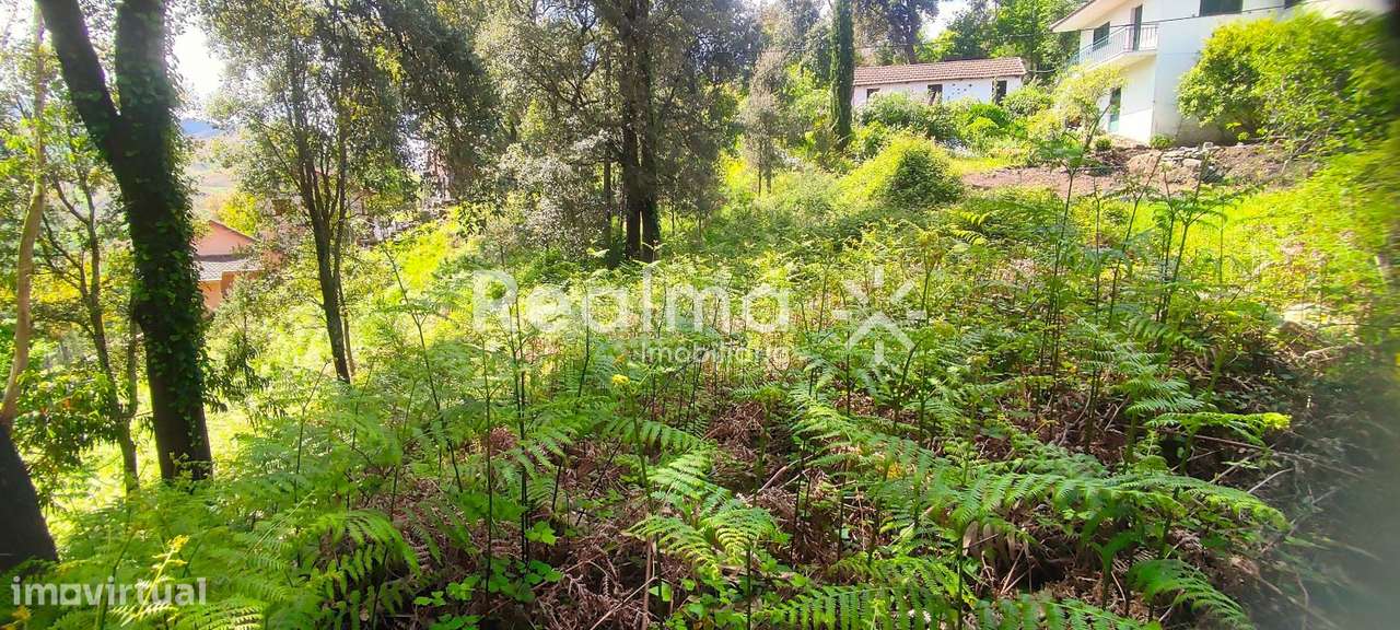 Terreno em Ruivães - Vieira do Minho p/ Construção-9