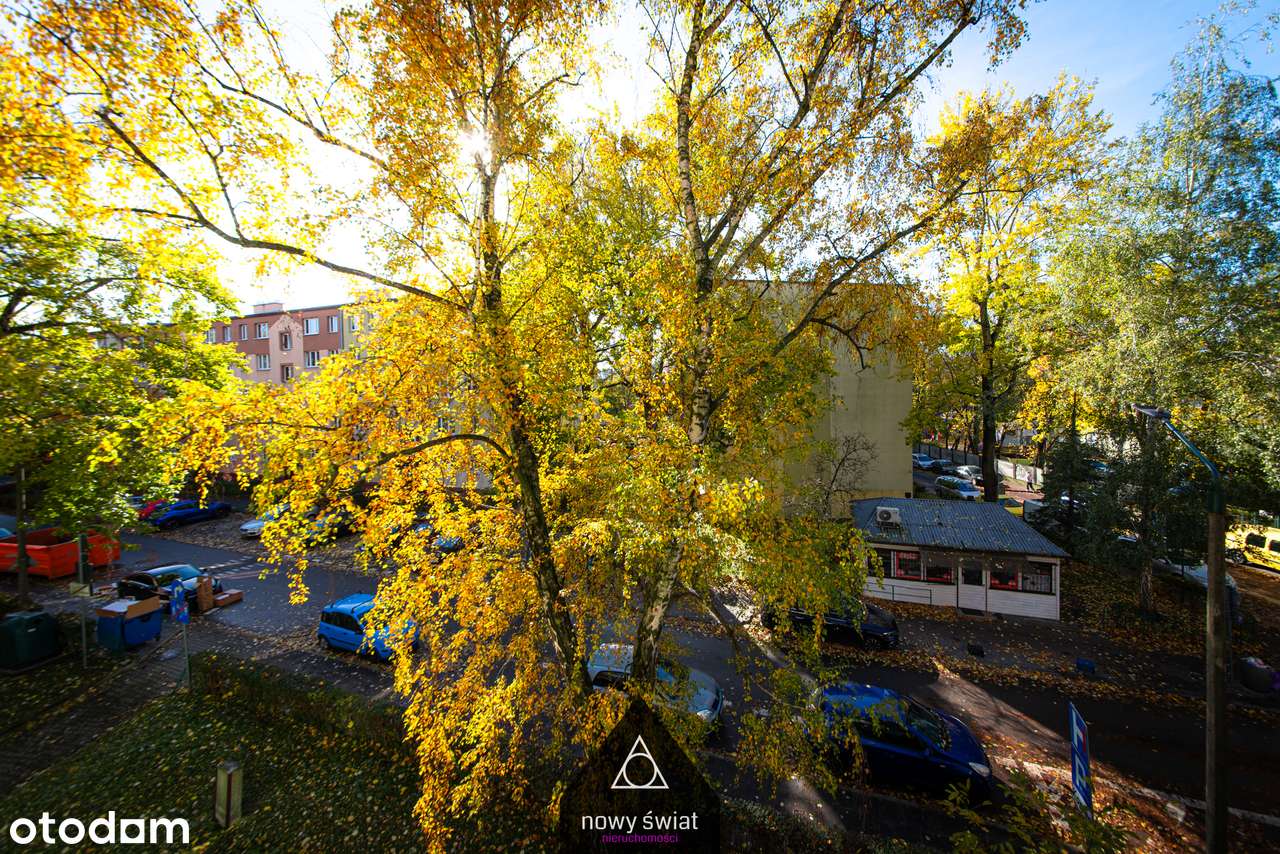 Kawalerka na wynajem 24m2 | Kraków Stara Krowodrza | ul. Wrocławska - Pełny obrazek: 5/8