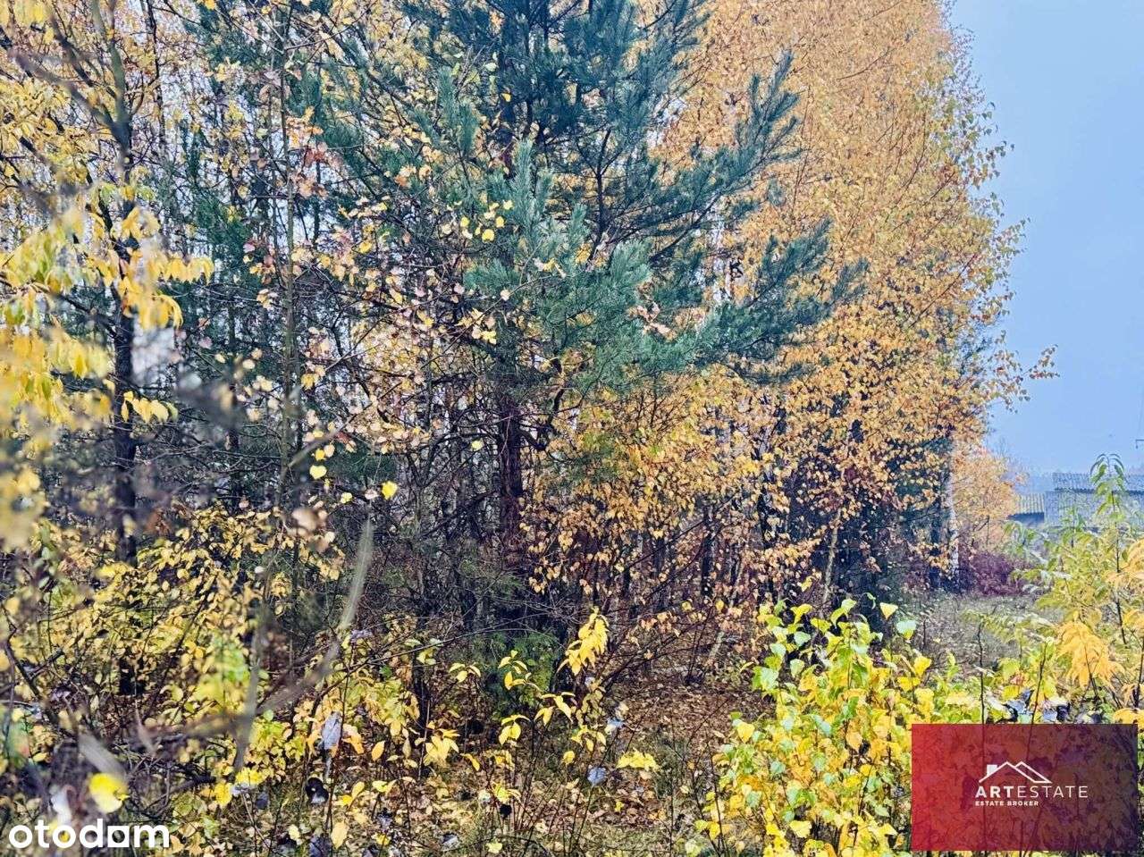 Działka Budowlana Słowak gm. Aleksandrów Ł.-11