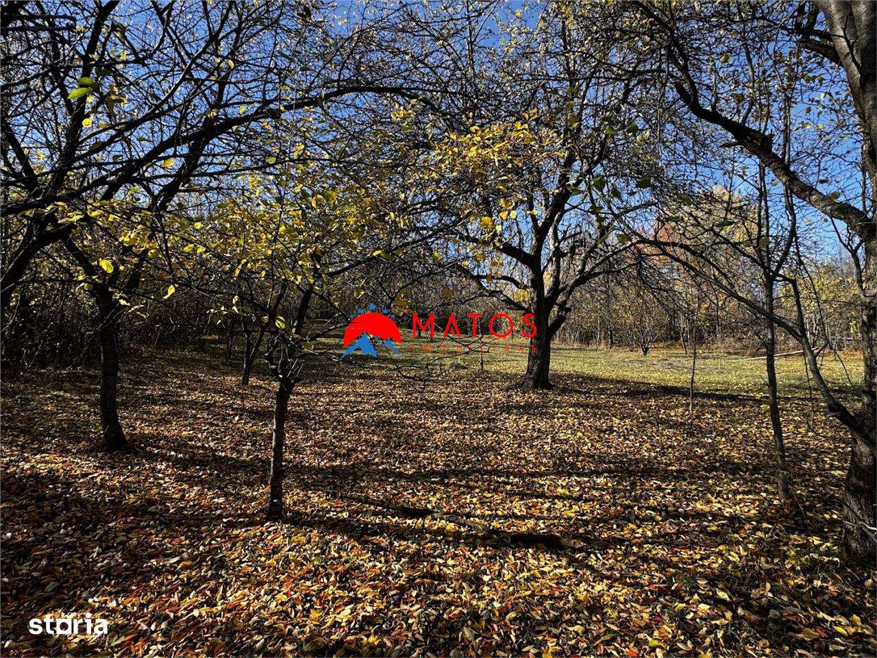 Teren intravilan 6.842 mp de vanzare in Poiana Campina, vedere placuta-7