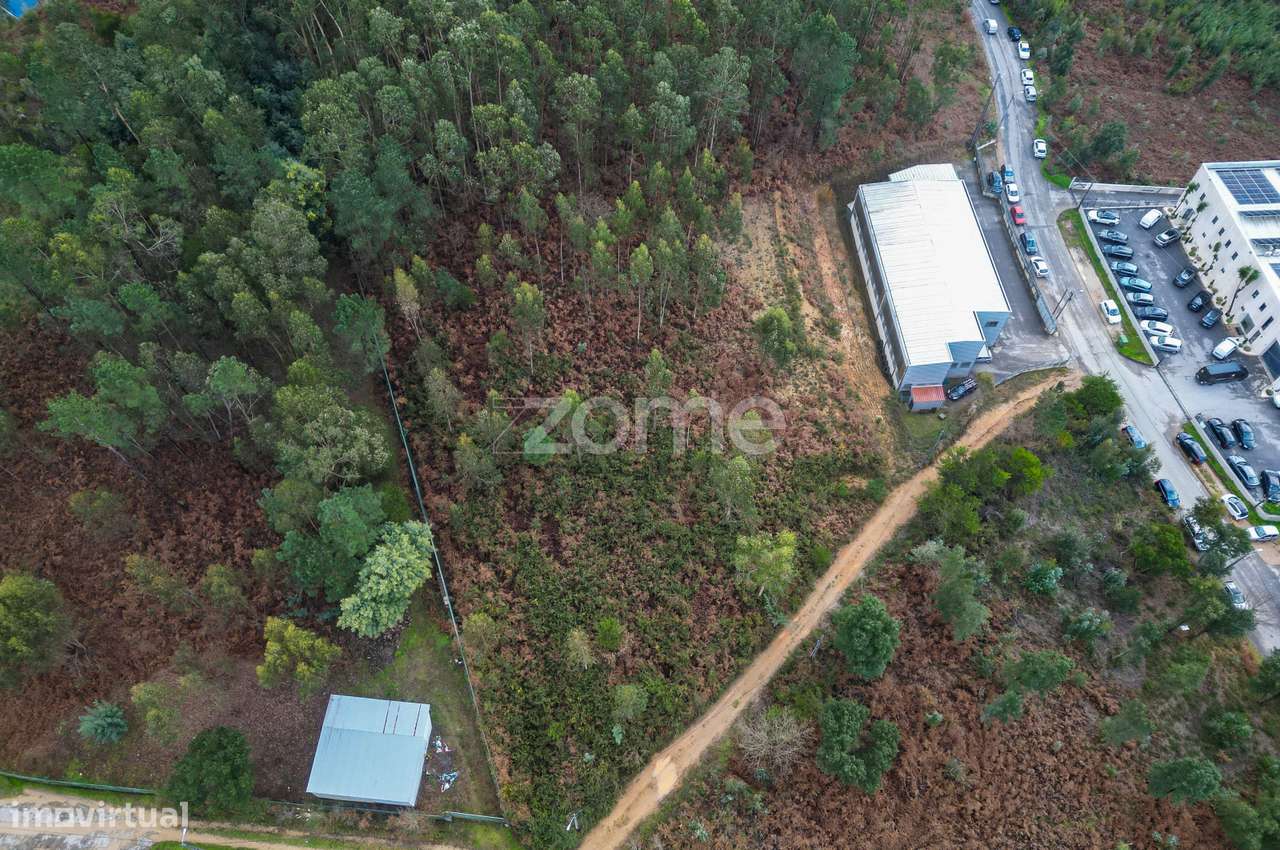 Terreno 3300m2 Vila Chã |São Roque | Oliveira de Azeméis-5