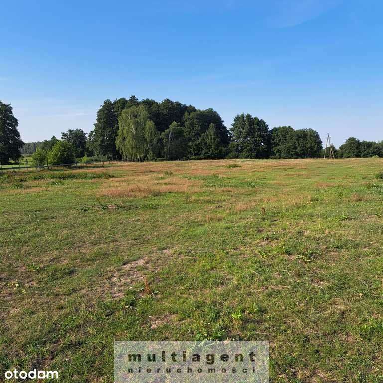 Brzózki działka pod budowę - Pełny obrazek: 5/6