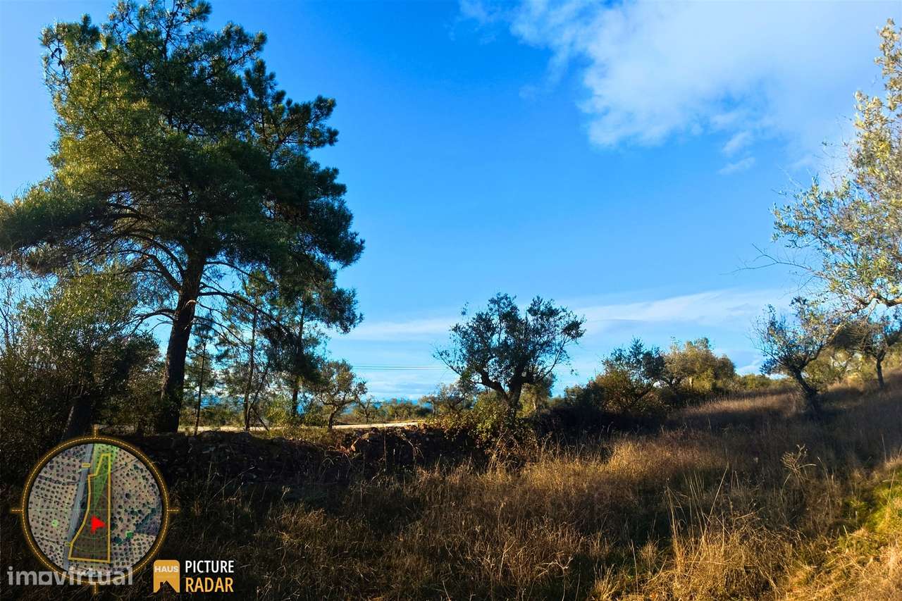 Terreno Plano 6.700m² c/ Vistas Panorâmicas – Salgueiro do Campo-22
