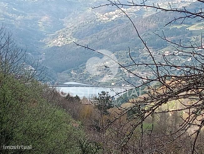 Oportunidade Única: Quinta para Habitação, Turismo ou Agricultura em M-5
