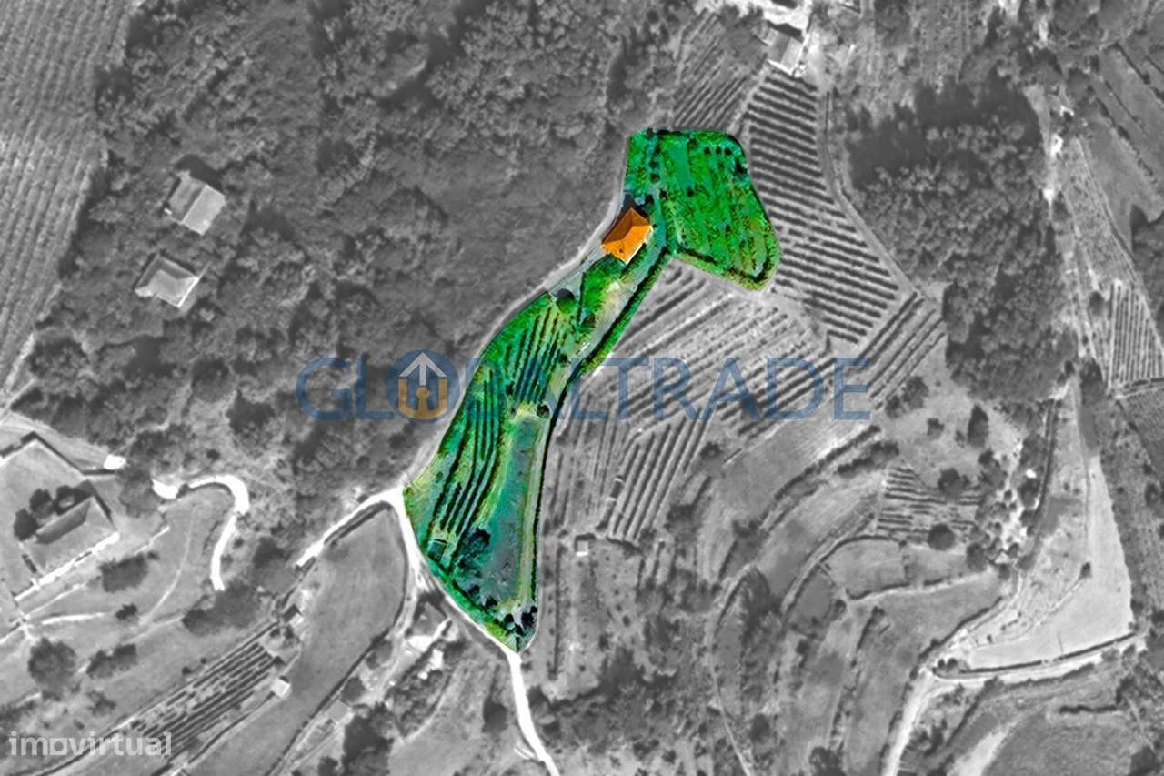 Quinta com 5250 m² & Moradia T1 em Pedra – Baião-51