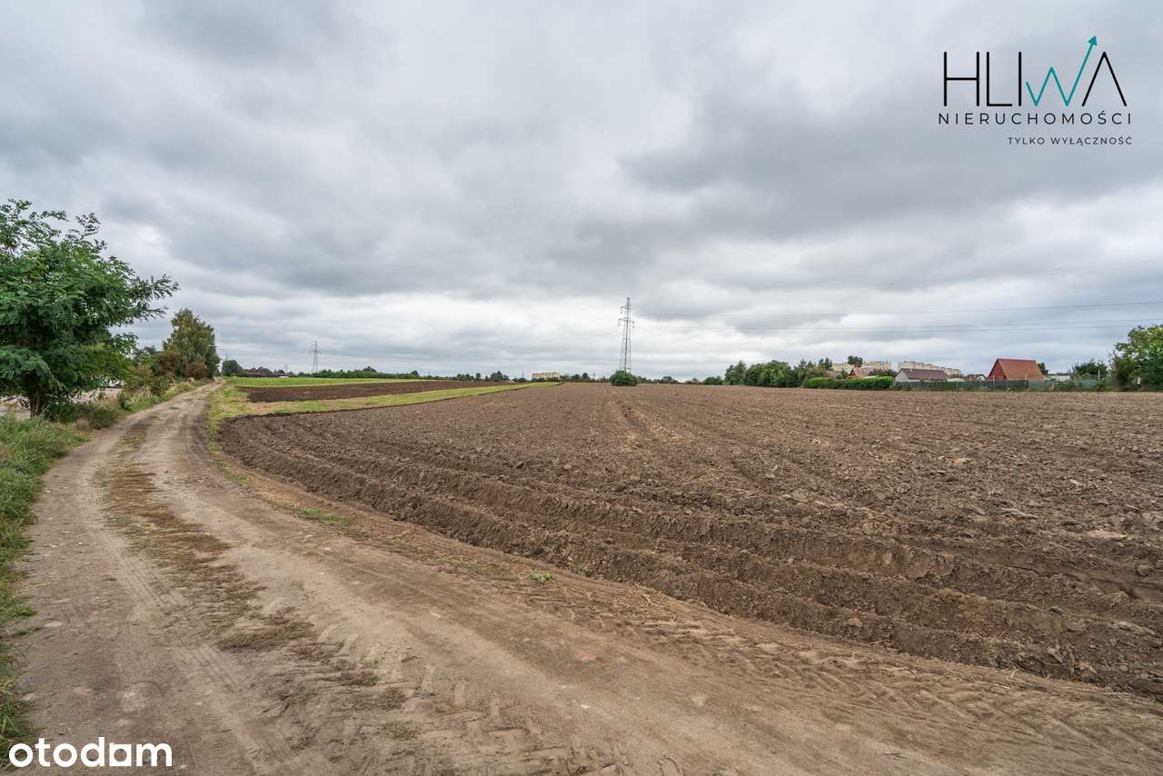 Działki rolne Gdynia Obłuże, powierzchnie od 3003 m2-14