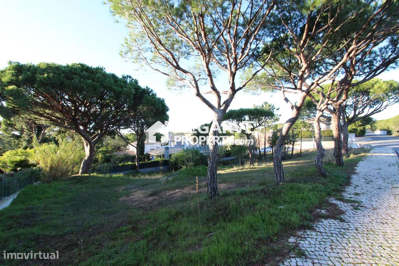 VILAS ALVAS - Lote de terreno perto da PRAIA - Grande imagem: 2/7