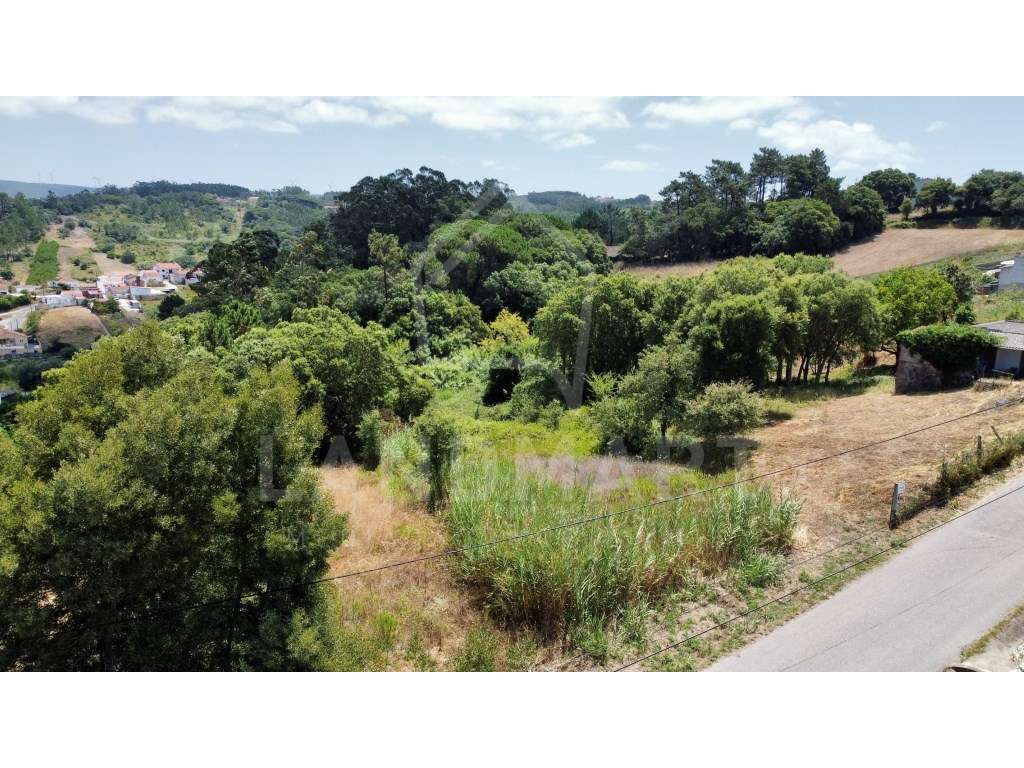 Terreno para construção, Relvas - Grande imagem: 4/6