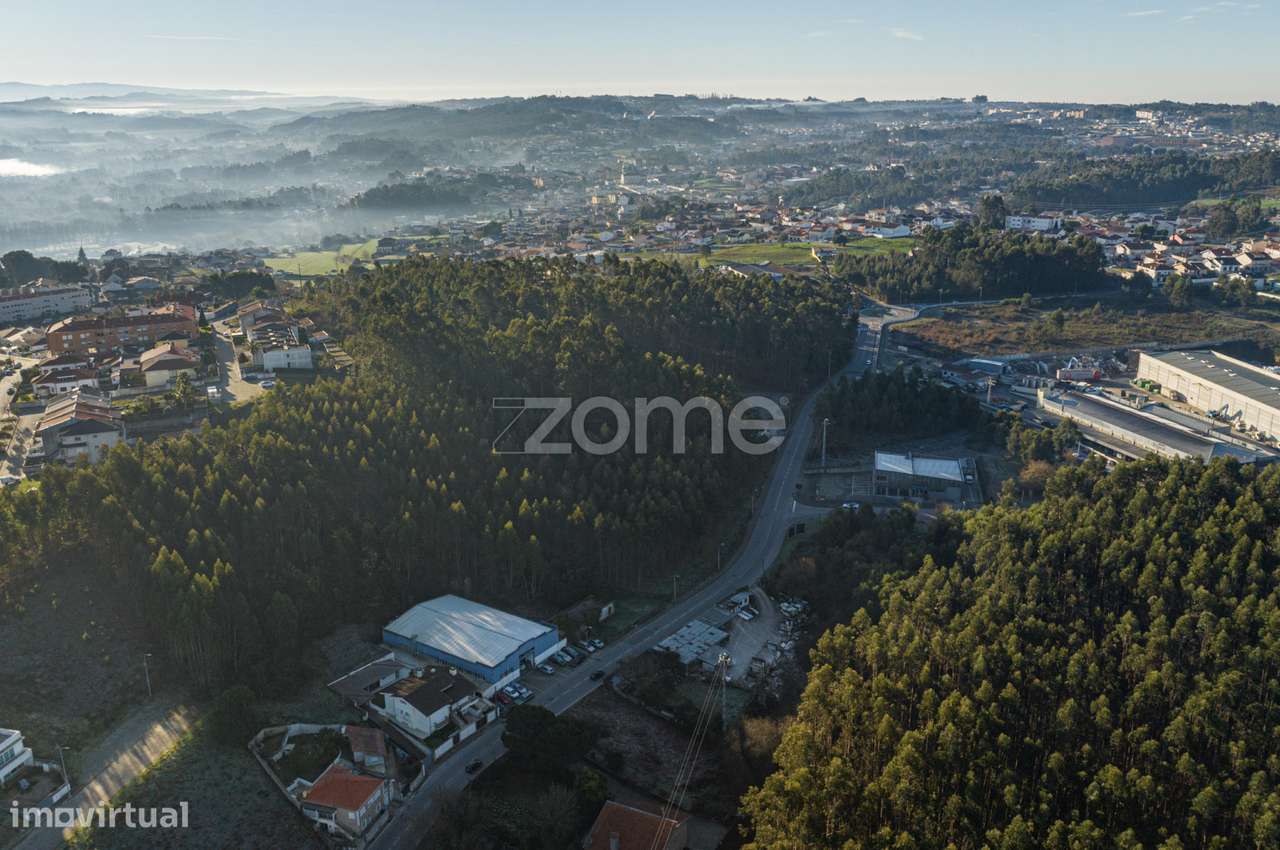 Terreno Urbano Sanguedo - Grande imagem: 5/16