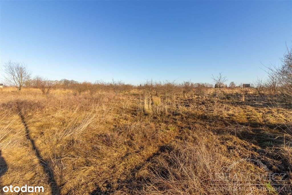 Działka w Mielnie. 650 metrów od jeziora. - Pełny obrazek: 5/14