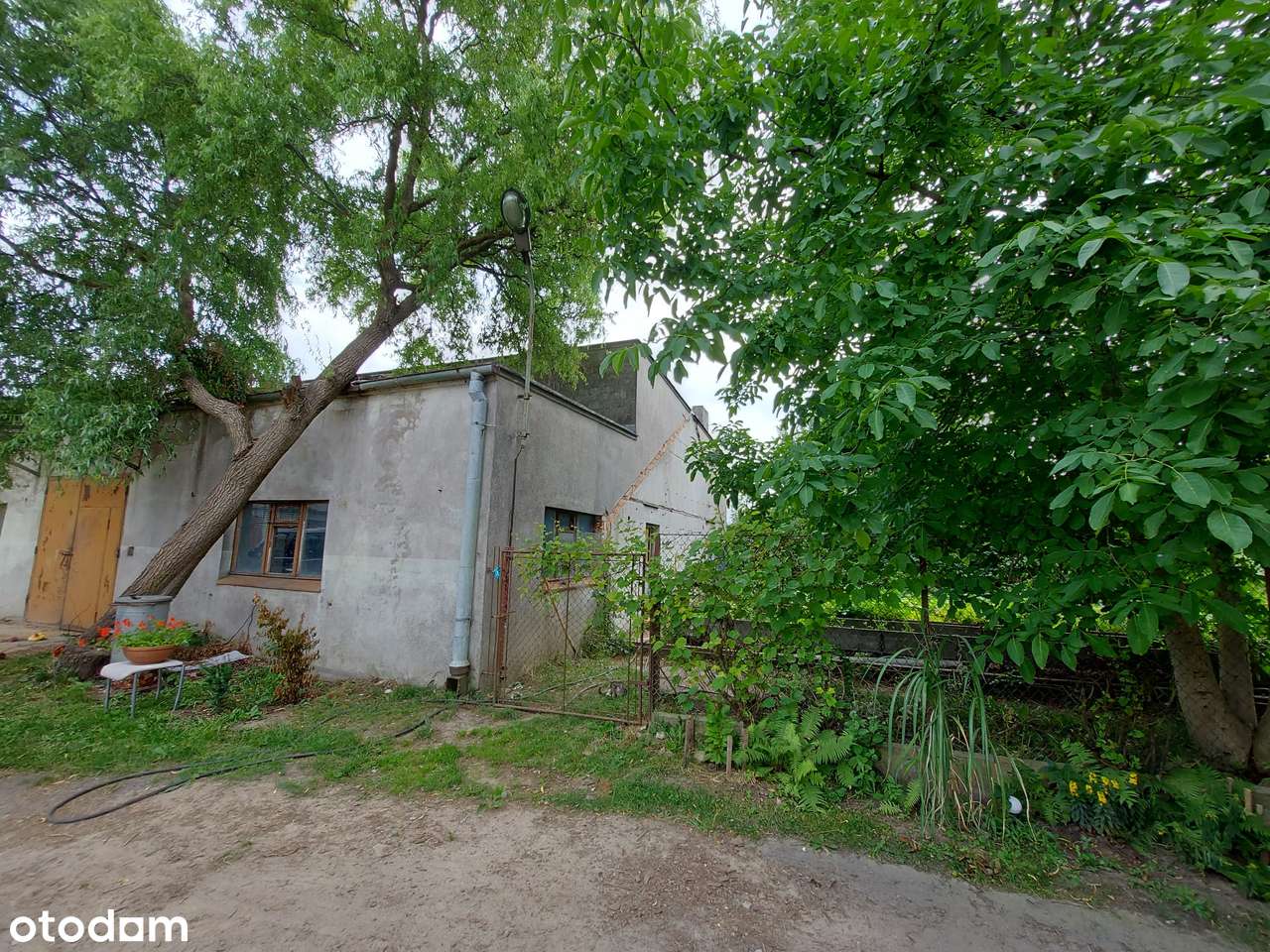 Grunty orne klasa II z domem i zabudowaniami gospodarczymi – 1,5200 ha - Pełny obrazek: 5/9