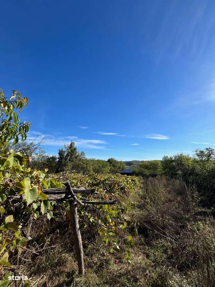 Casa veche cu teren generos in com. Rosiile, Jud. Valcea - Imagine principală: 4/12