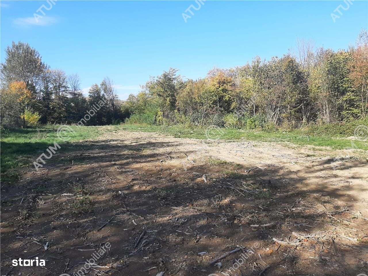 Teren intravilan de vanzare pe Valea Avrigului in suprafata de 1800 mp - Imagine principală: 4/6