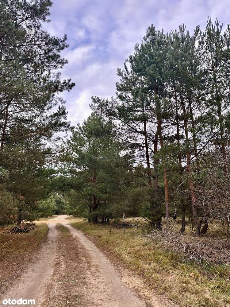 Wyjątkowa działka pod dom w świetnej lokalizacji pod Poznaniem – MPZP - Pełny obrazek: 4/6