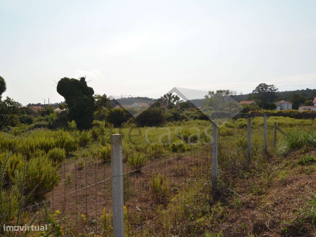 TERRENO INDUSTRIAL - Grande imagem: 4/4