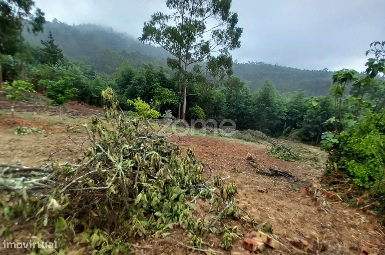 Terreno, 1 350 m², Luso - Grande imagem: 3/15