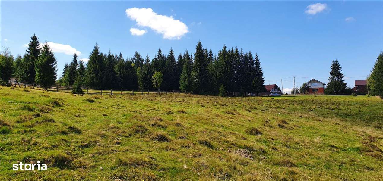 Oportunitare | Teren 1ha cu PUZ | Belis-8