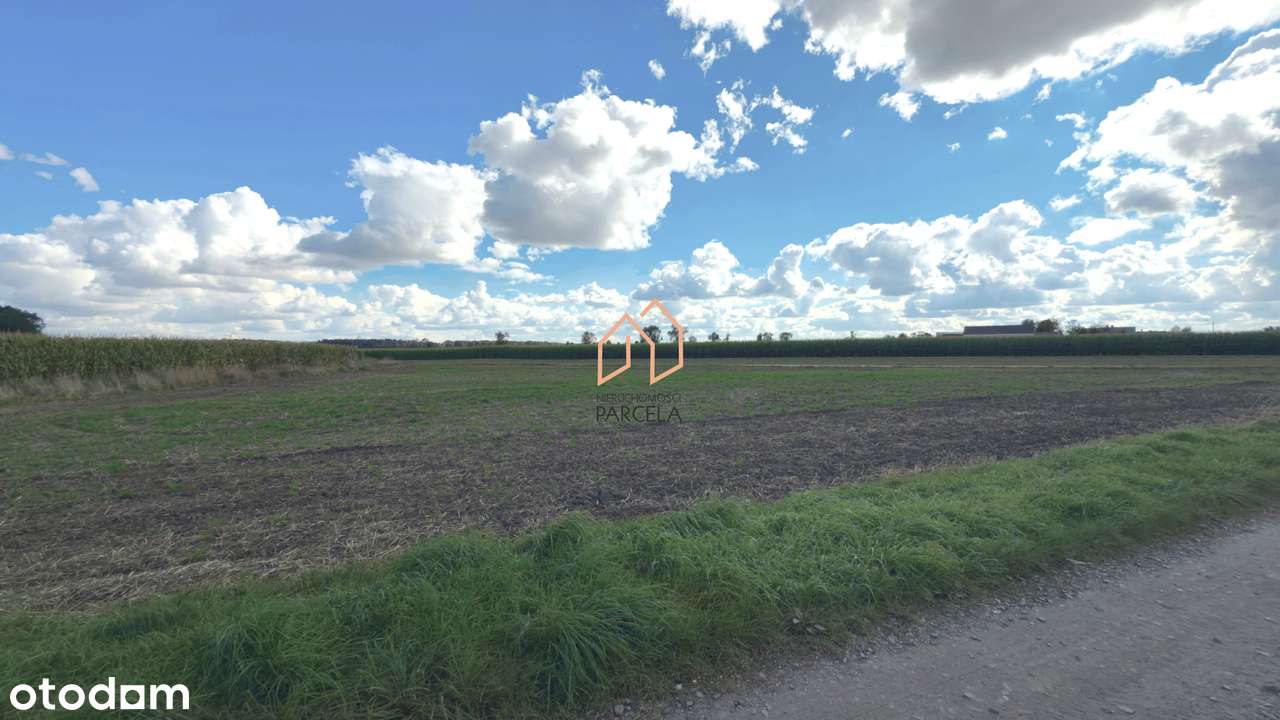 Działka budowlana w Dębiczku 1883 m2. - Pełny obrazek: 4/4