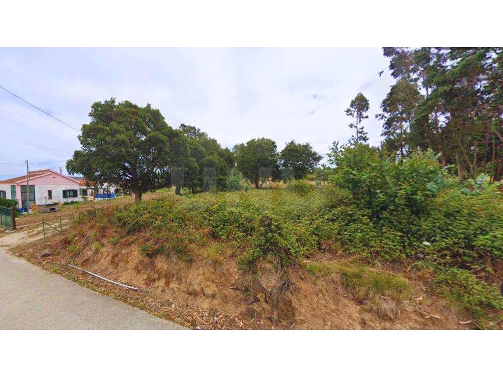 Terreno com 9760m2 - Área construção 1400 m2 - Carvalhal - Bombarral - Grande imagem: 5/10